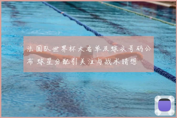 法国队世界杯大名单及球衣号码公布 球星分配引关注与战术猜想